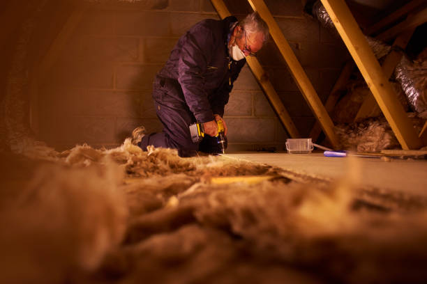 Best Blown-in Insulation in Carbondale, IL